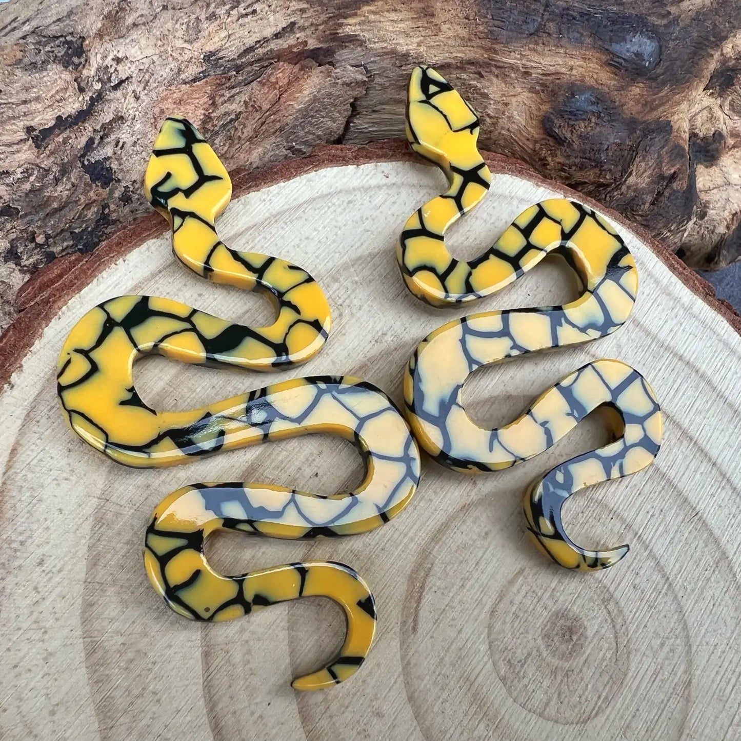 Resin Snake Dangle Earrings