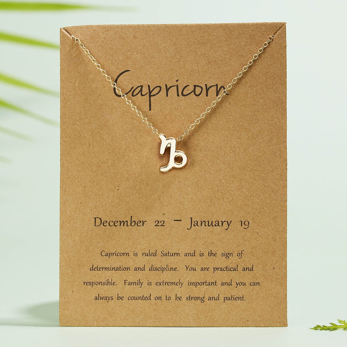 Capricorn Dainty Zodiac Necklace