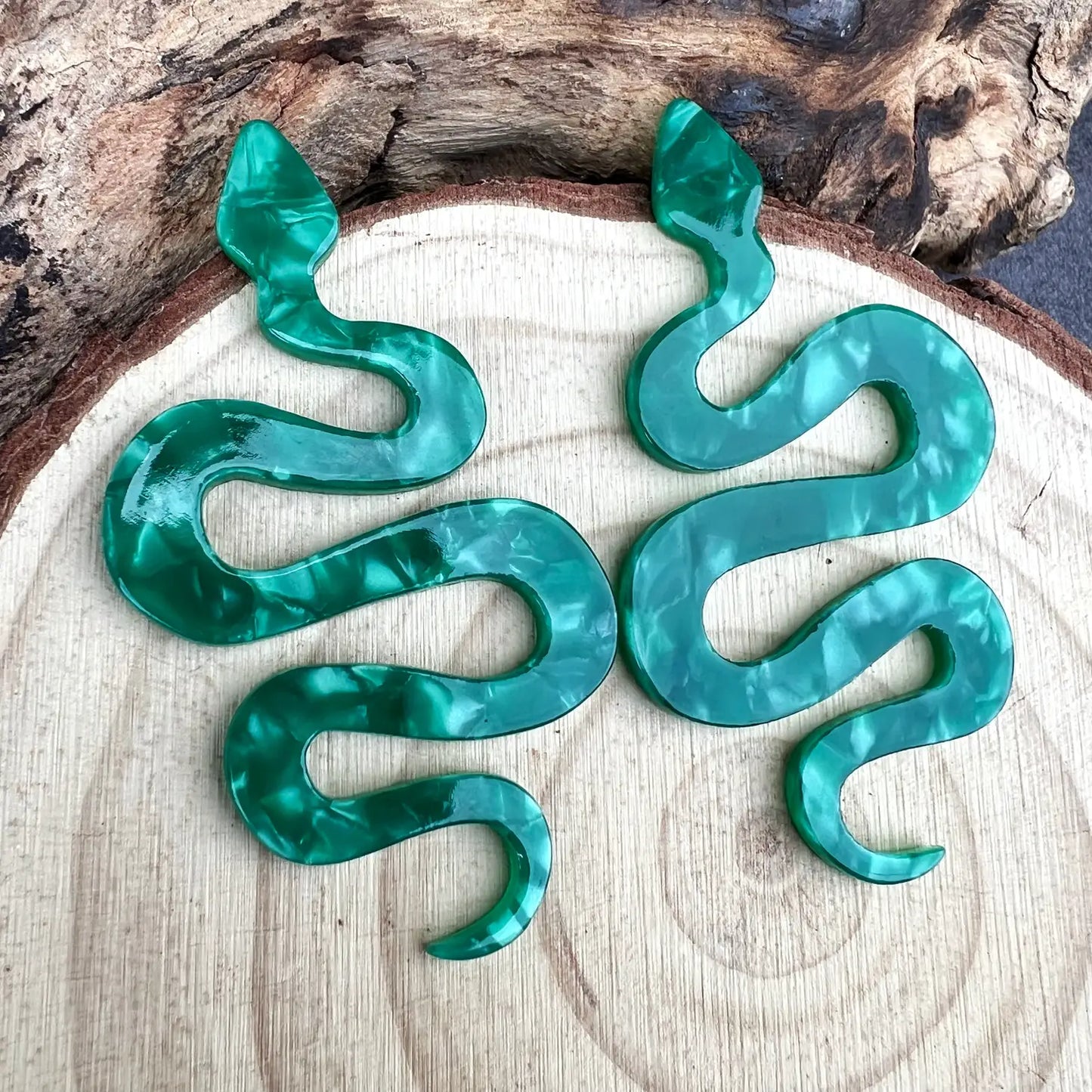 Resin Snake Dangle Earrings
