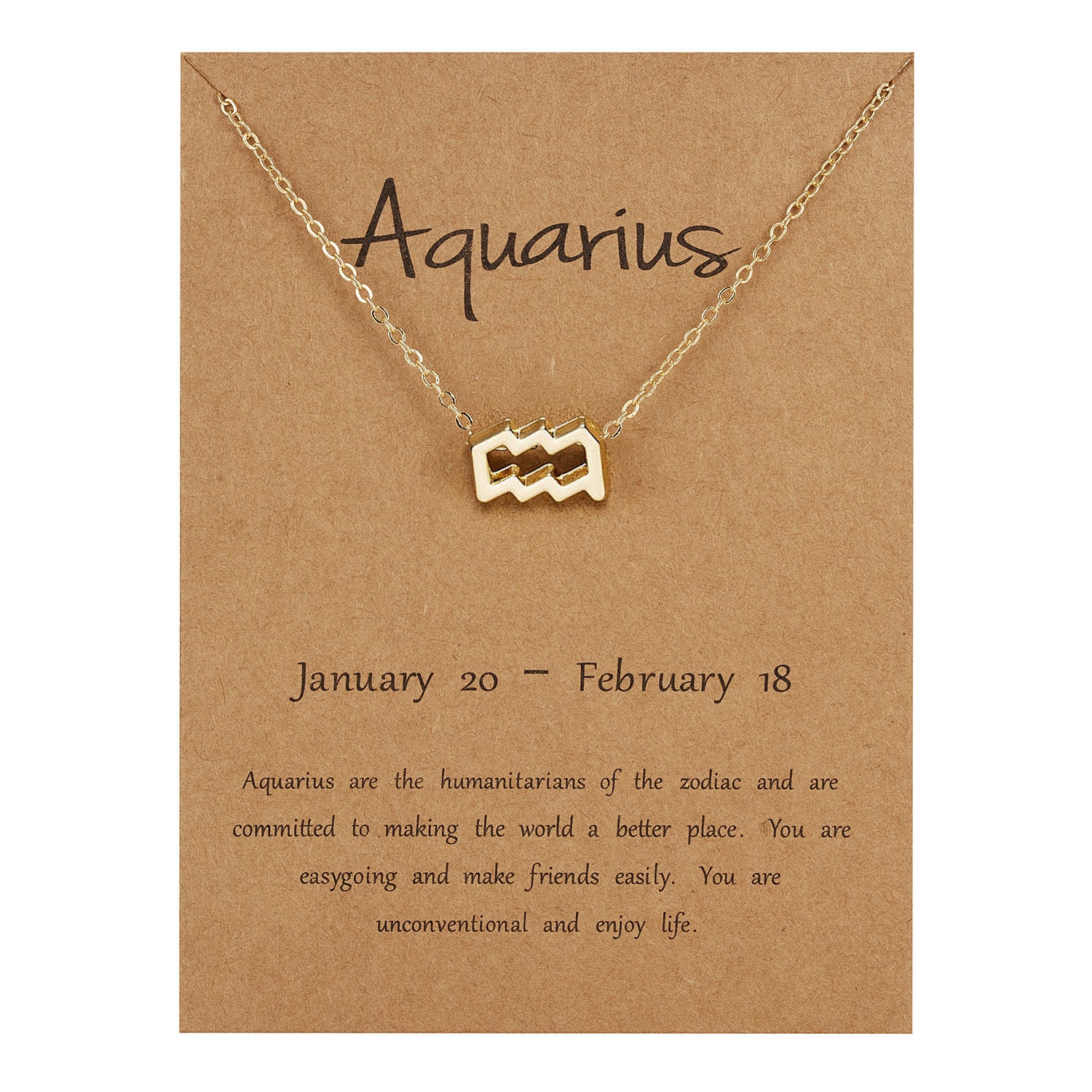 Aquarius Dainty Zodiac Necklace – Gypsy Soul Store
